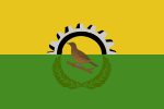 San Pedro Sula Flag